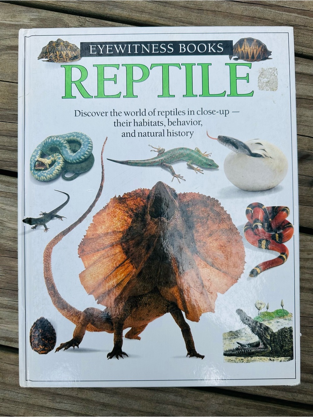 Reptile - Eyewitness Book